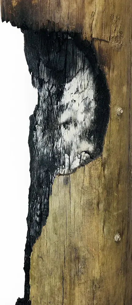 fieldsend_stevie_stiloncetrees-detail