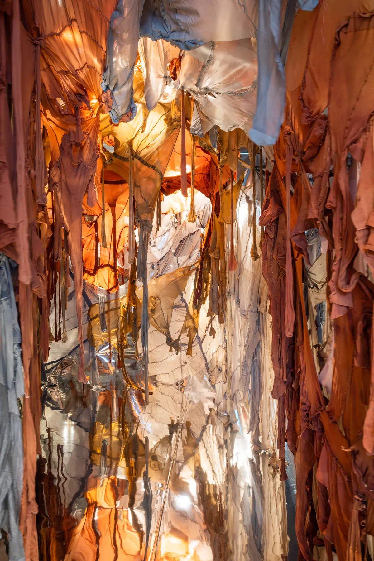 MosmanArtGallery_190722_credit_JacquieManning-15