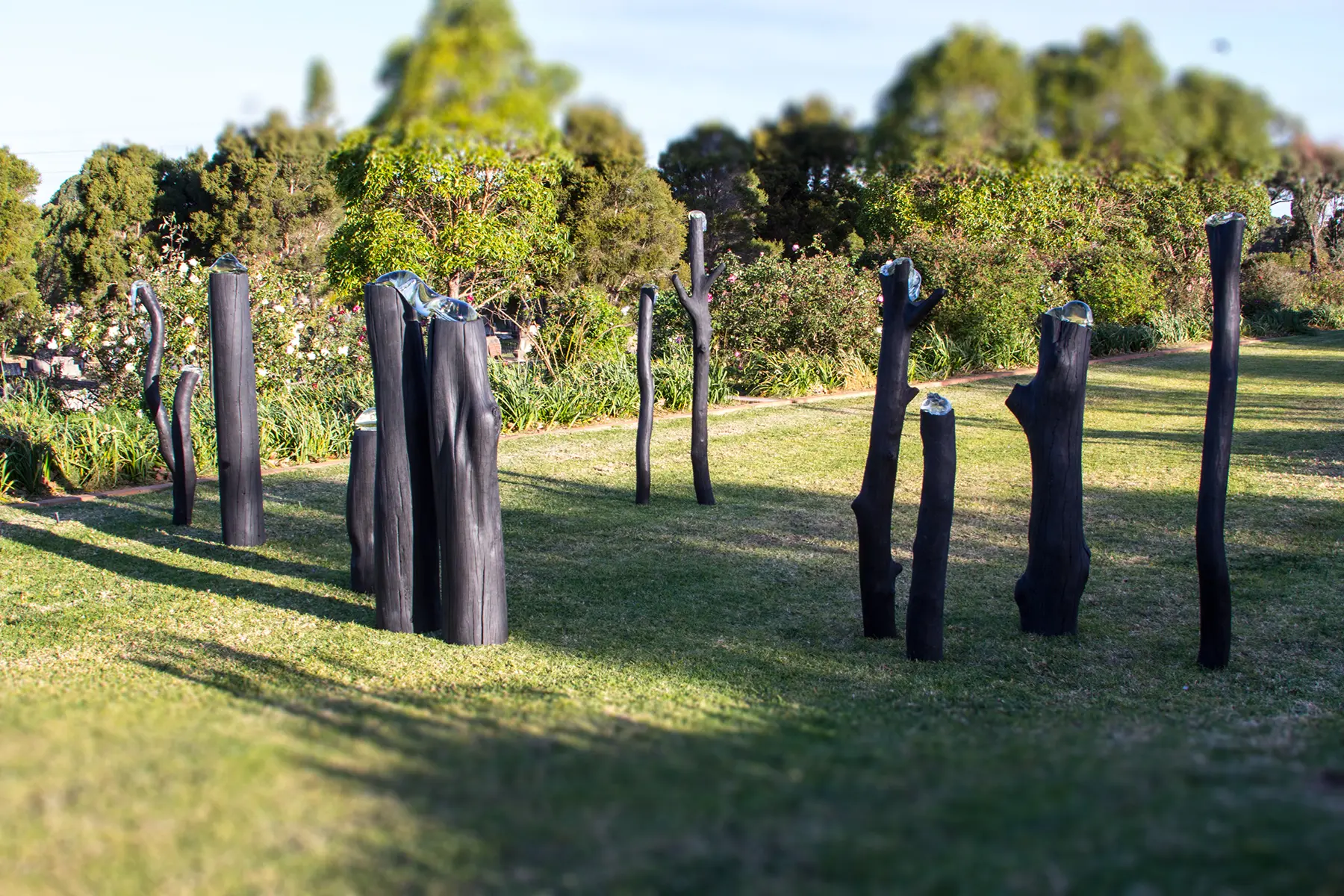 Rookwood-Hidden-winner-Stevie-Fieldsend