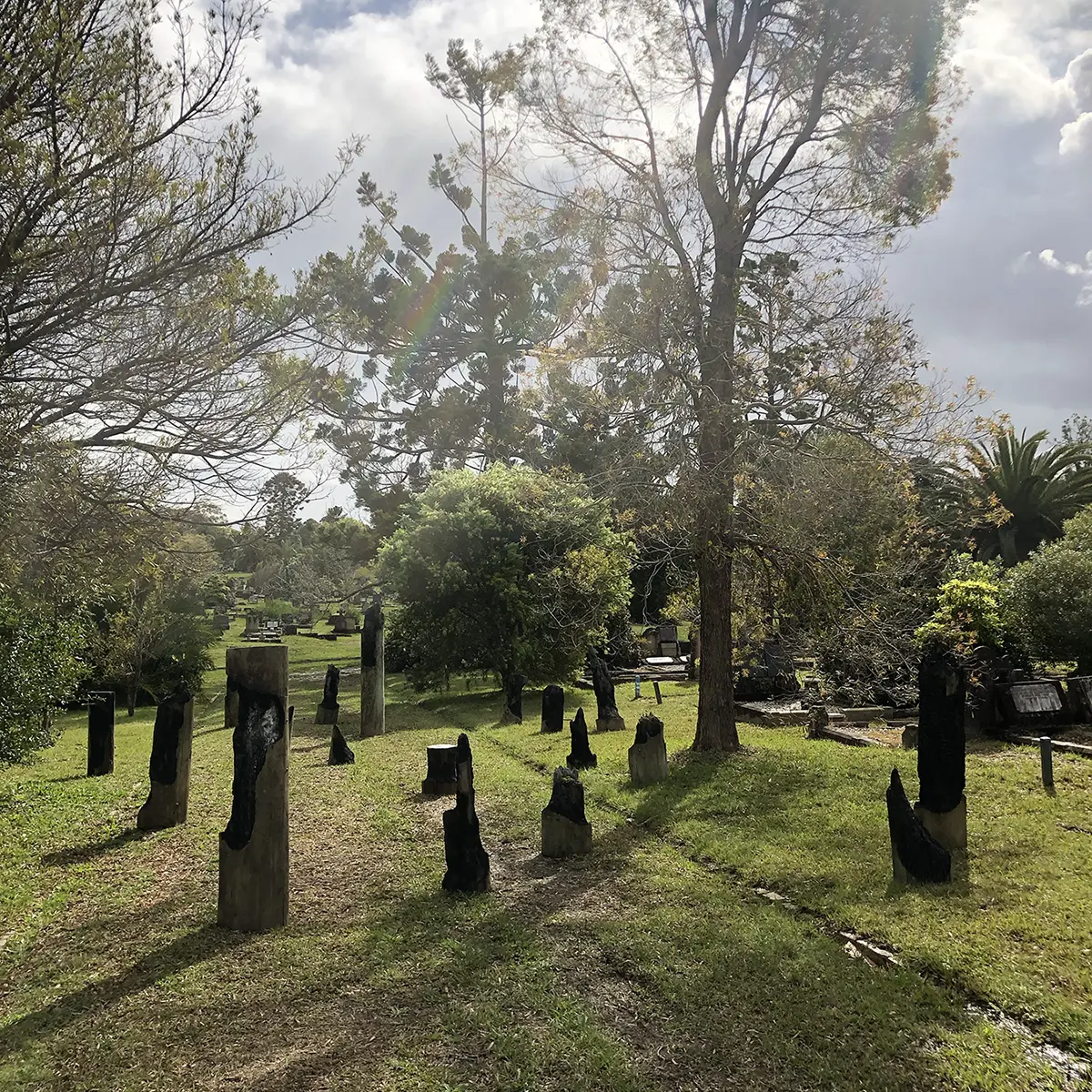 Stevie-Fieldend.STILLonce-trees-Rookwood-HIDDEN-2022.Image-Stevie-Fieldsend.8