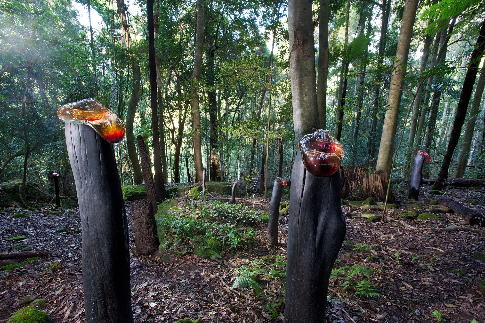 Stevie_Fieldsend.-Bulging-Ichorous.-Sculpture@scenic.2015.-Image-Keith-Maxwell-1-1